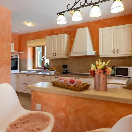 Vakantiehuis Nice In